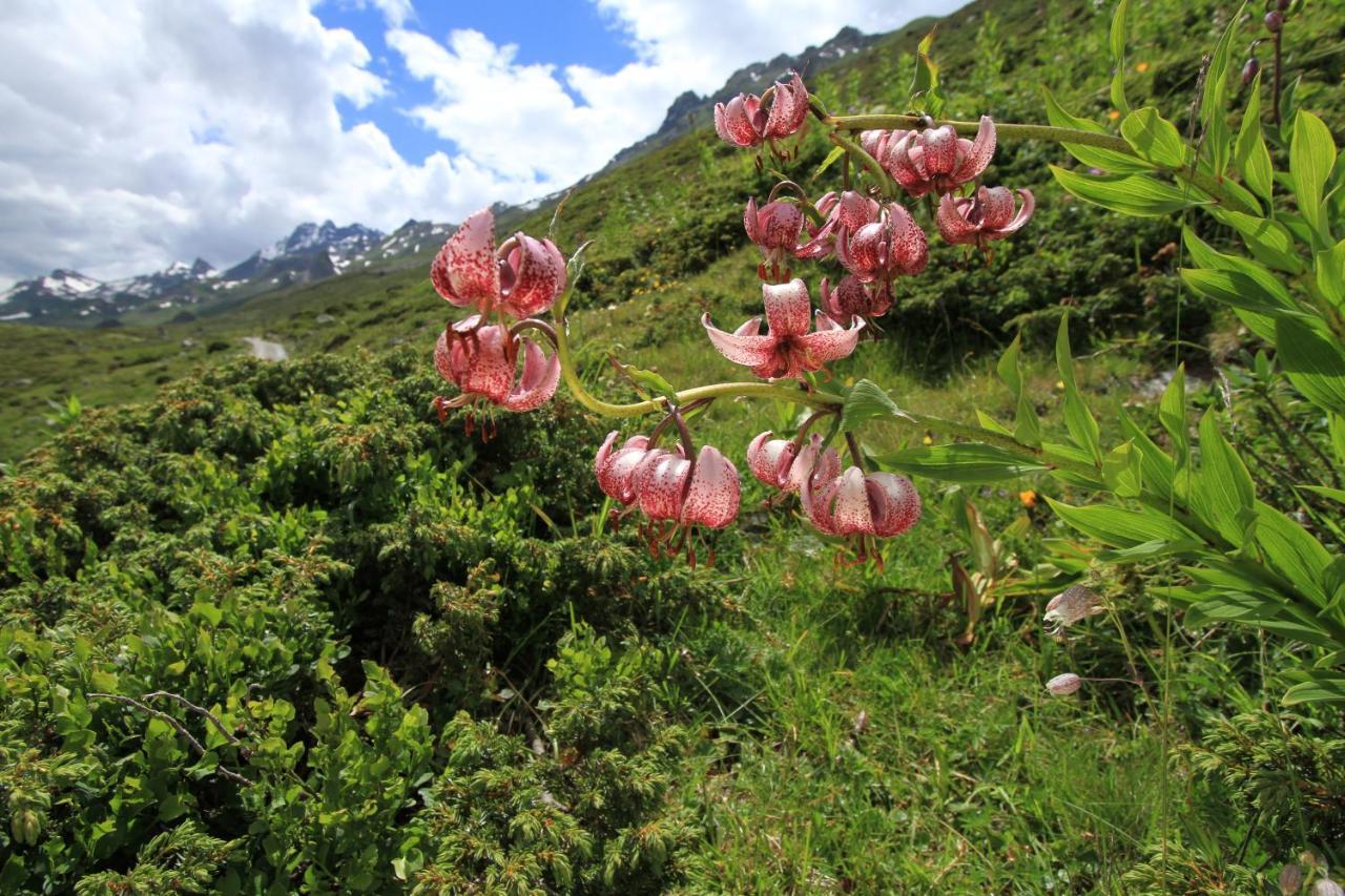 Apart Montis See Dış mekan fotoğraf
